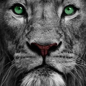 Meet your Posher, Sabrina